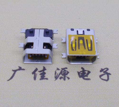 迷你USB插座,MiNiUSB母座,10P/全贴片带固定柱母头